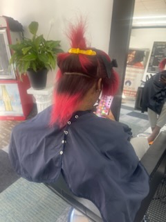 15164196167_13053306455_7_1709915320126